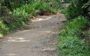 Imagem mostrando trecho de terra completamente acidentado, com barreiras e buracos da Estrada Paraty-Cunha. Imagem original publicada no site www.diariodovalo.uol.com.br